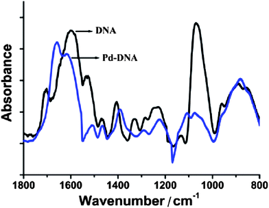 FTIR spectrum of Pd/DNA nanowires (blue) and FTIR spectrum of bare λ-DNA (black). 128 scans co-added and averaged, 4 cm−1 resolution.