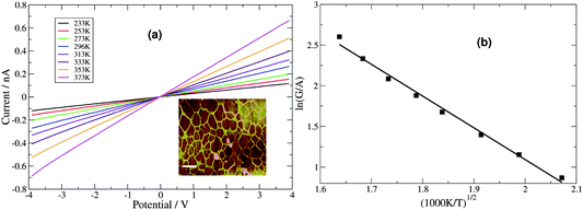 (a) Two-terminal microelectrode current–voltage curves for a network of Pd/DNA nanowires at temperatures from 233–373 K. (Inset: An AFM height image of the network, the data scale is 20 nm, scale bar = 500 nm). (b) The zero bias conductances, G, from (a) were divided by mean cross-sectional area, A, and ln(G/A) was plotted against T−1/2 to test the Efros–Shklovskii law.