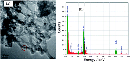 (a) HRTEM image of Pd/DNA nanowire network on a carbon-coated Cu grid and (b) the EDS spectrum at the point “x” in the image corresponding to a nanowire.