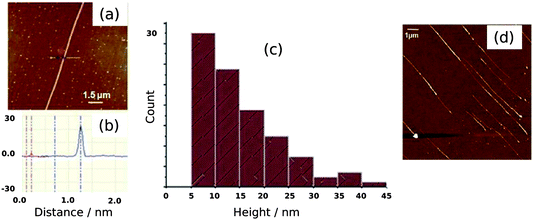 AFM images of Pd/DNA nanowires. (a) AFM image of a single Pd/DNA nanowire (scale bar = 1.5 μm); (b) Section of the nanowire in (a) at the indicated points showing the height difference between the Pd/DNA nanowire (≃23 nm) and the bare DNA strand (2 nm). (c) Height distribution of 90 Pd/DNA nanowires, the heights were determined from AFM images. (d) Discontinuous nanowires aligned after a reaction time of 2 h. The scale bar is 1 μm and the height (colour) scale is 30 nm.