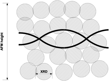 Schematic representation of the structure of the prepared DNA/Pd nanowires. The Pd crystallite size (≃1.6 nm) is substantially smaller than the nanowire heights observed by AFM (5–45 nm).