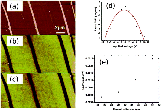 Electrical characterisation of Pd/DNA nanowires by scanned conductance microscopy. (a) AFM height image of Pd/DNA nanowires (the data scale is 25 nm). (b) and (c) the corresponding SCM phase images of the same nanowires with applied bias voltages of +6 V and −6 V respectively (the data scale is 3°). (d) Phase shift versus applied voltage for a single Pd/DNA nanowire (20 nm diameter) at a lift height of 60 nm aligned on 240 nm thick SiO2 on highly doped Si. (e) A quadratic was fitted to the plots of phase shift against bias voltage. The coefficients of V2 are plotted against the nanowire diameter at a constant lift height of 60 nm.