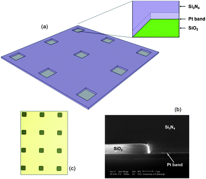 (a) Schematic diagram of the microsquare nanoband edge electrode (MNEE) array architecture used in this work, with Si3N4 upper (purple) and SiO2 lower (green) insulation sandwiching a Pt nanoband (grey) in each square aperture (inset). (b) an SEM image of a cleaved and polished cross section through a square aperture in the fabricated 10μ3D50n structure. The horizontal line of enhanced scattering indicating the 50 nm Pt band is highlighted, which as expected is seen to extend around the perimeter of the half aperture with SiO2 at its base in the left of the picture. (c) an optical microscope image of the fabricated microsquare array.