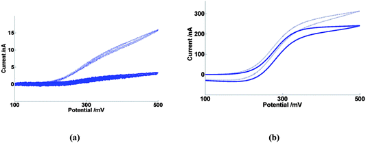 Cyclic voltammetry in FCA(I) solution (solid line) and FCA(I/10) solution (dashed line) at 20 mV s−1 of (a) 10μ4D5n (b) 10μ4D50n.