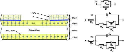 (a) The origin of the parasitic capacitance associated with the MNEE array. (b) Equivalent circuit which describes the parasitic capacitance in parallel with the MNEE array response. (c) Established modified Randles equivalent circuit appropriate for a microsquare electrode array. (d) Equivalent circuit used for the MNEE array.