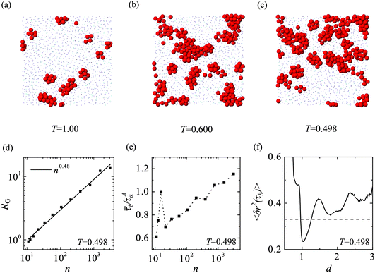 Analysis of the domains of 11A clusters. (a)–(c) Domains form on cooling from high to low temperature (slices through 3D simulation box). Particles in 11A clusters are shown full size in red, other particles are blue dots. (d) The radius of gyration RG of the domains versus the number of particles in the domain n for T = 0.498. RG is well fitted by n0.48 indicating the domains have a fractal dimension df ≃ 2. (e) The mean lifetime of 11A clusters versus the domain size n. (f) 11A domains affect the motion of neighbouring particles. The MSD 〈δr2(τh)〉 of non-11A particles as a function of distance from 11A domains d (solid line). The dotted line is the MSD over τh of all particles not in 11A clusters and independent of the distance from an 11A domain (d).