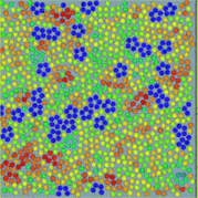 An example of local bond orientational ordering in a liquid. Here blue pentagons are locally favoured structures spontaneously formed in a sea of normal liquid structures (particles with the other colours). They have finite lifetime and thus are transient. This is obtained by molecular dynamics simulations of spherical particles interacting with a special anisotropic potential, which we call two-dimensional (2D) spin liquid.36
