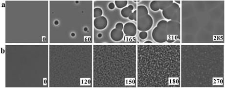 Pattern evolution observed with phase-contrast microscopy during the annealing of a supercooled liquid at Ta. (a) Experimental results for TPP at Ta = 219 K. The intensity is proportional to the refractive index. The size of each image is 120 μm × 120 μm. The contrast between droplets (liquid II) and the matrix (liquid I) decreases with an increase in the distance from the interface (decay length: a few microns). This is due to non-ideality of phase contrast microscopy, and does not mean the change in the refractive-index difference. (b) Experimental results for TPP at Ta = 214 K, observed with phase-contrast microscopy. The size of each image is 150 μm × 150 μm. The number in each image indicates the elapsed time in minutes for both (a) and (b).