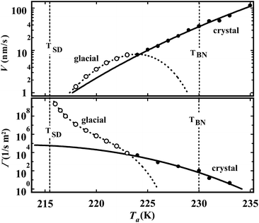 Dependence of the growth velocity V (a) and the nucleation frequency Γ (b) on the annealing temperature Ta for the crystal (filled circle) and the glacial phase (open circle). This figure is reproduced from Fig. 2 of ref. 160.