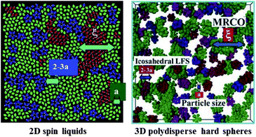 Typical structures of supercooled liquids for 2D spin liquids and 3D polydisperse colloids. We can see competing orderings between medium-range crystal-like bond orientational ordering and short-range localized ordering in both cases.