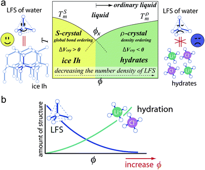 (a) Schematic phase diagram of water–LiCl mixtures.228 Locally favoured structures have a symmetry consistent with ice crystals (S-crystal), but not with hydrate crystals (ρ-crystal). In this figure, if we replace the salt concentration ϕ by pressure, it represents the phase diagram of water or other water-type liquids. Although both addition of salt and application of pressure leads to the decrease in locally favoured tetrahedral structures, their roles should have some difference since the former has local effects whereas the latter has global effects. (b) Schematic representation of the ϕ dependence of the fraction of locally favoured structures and hydration structures. Note that locally favoured structures are the source of frustration against hydrate crystals (ρ-crystal). This figure is courtesy of Mika Kobayashi.