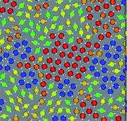 A snapshot of 2D spin liquid in a supercooled state. Red particles have crystal-like bond orientational ordering (more specifically, antiferromagnetic order), which plays a crucial role in glass transition and crystallization, whereas blue particles are locally favoured structures with pentagonal symmetry, which plays a primary role in water-type anomalies and liquid–liquid transitions. The latter also plays an important role in vitrification if it competes with crystallization, which is linked to the above bond orientational ordering (appeared red). A spin on a particle is also shown by an white arrow in this figure.