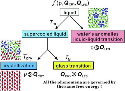 Schematic figure explaining the relationship between the behaviour of liquid upon cooling and the free energy. A liquid may exhibit water-like anomalies or LLT upon cooling. A liquid also becomes a metastable supercooled state below the melting point Tm and further cooling leads either to crystallization or to glass transition. The former takes place at the crystallization temperature Tcry, whereas the latter at the glass transition temperature Tg. The former is a thermodynamic phase transition, but the latter is a kinetic transition. The key fundamental question here is whether the glass transition behaviour is controlled by the same free energy as that for crystallization or a special free energy? We argue that all the phenomena are governed by the same free energy.