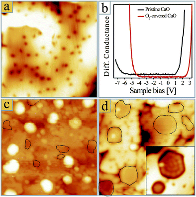(a) STM topographic image of a Mo-doped CaO film after exposure to 20 L of oxygen (25 × 25 nm2). (b) Conductance spectra showing the onset of valence and conduction band on clean and O2-covered CaO films. (c) 0.5 ML Au deposited onto a Mo-doped CaO film pre-covered with 400 L O2 and (d) 0.5 ML Au post-oxidized with 100 L O2 (40 × 40 nm2). The 2D islands are marked with dashed lines. The inset in (d) shows two selected Au monolayer islands with an oxidized rim (10 × 10 nm2).