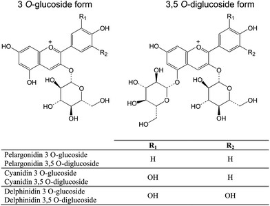 The main anthocyanins present in pomegranate, as 3-O-glucoside and 3,5-O-diglucoside forms.