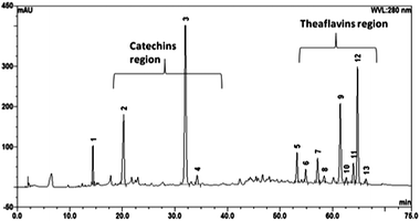 HPLC profile of commercially available BTE (analysis conditions: C18 column, 4.6 × 150 mm, 3 μm, 100 Å, UV 280 nm, mobile phase: water (0.1% HOAc) and acetonitrile).