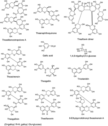 Structures of tea polyphenol derivatives in black tea.