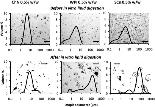Typical optical micrographs combined with their respective oil droplet size distributions obtained by static light scattering experiments of ChN-, WPI- and SCn-stabilized o/w emulsions before lipid digestion (after dilution of 1 : 100) and following lipid digestion without further dilution: lipase (1.6 mg mL−1) and bile extract (5 mg mL−1) (at T = 37 °C, 5 mM CaCl2, pH 7.0, hydrolysis time 2 h); scale bar of 50 μm in all frames.