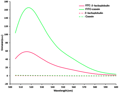 Fluorescent spectra of FITC-labelled and control proteins.