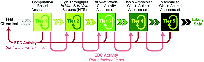 Tiered tests for endocrine disruption. The progressive approach (A) to using this tiered system runs from left to right, from the simplest, fastest and cheapest on the left (Tier 1) to the most expensive on the right (Tier 5). Failure to find EDC activity in one tier then leads to testing at the next highest tier (after replication with other assays within the same tier). Chemists taking the plate approach (B) would begin at a tier that best fits their individual needs, with the choice reflecting prior knowledge (or hypotheses) about potential mechanisms of action, as well as their access to assay systems. Results from initial tests would then inform the next steps.