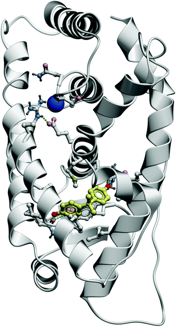 This figure depicts the interaction of bisphenol A (BPA) with the estrogen receptor, at the ligand-binding domain.