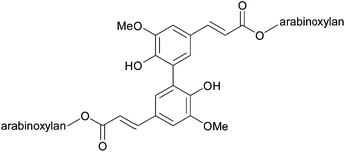 Ferulic acid dimer cross link.