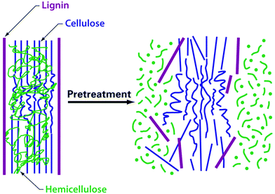 (Physico)chemical deconstruction disrupts the lignocellulose structure, so that the carbohydrates become accessible. Adapted with permission from ref. 8.