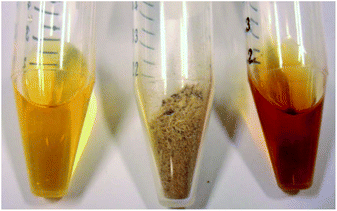 Dissolution of beech powder in [C2C1im][MeCO2]; left: ionic liquid, middle: beech powder, right: solution. Reproduced from ref. 114.