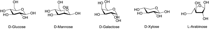 The hexoses and pentoses typically found in hemicellulose.