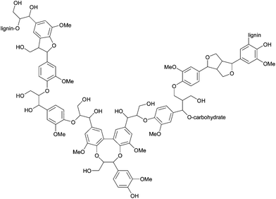 Lignin fragment with various C–O and C–C linkages typically present in native lignin. Reproduced with permission from ref. 24.