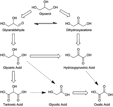 Commonly observed glycerol oxidation products. Dotted lines represent possible carbon cleavage of three carbon products to form two carbon products.