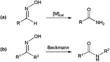 Rearrangements of oximes to amides.