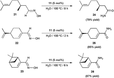 Ruthenium-catalyzed rearrangement of the optically active aldoximes 21–23 in water.