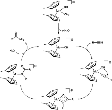 Catalytic cycle for the hydration of nitriles with complex 5b.