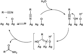 Proposed mechanism for the Ag/SiO2-catalyzed hydration of nitriles.