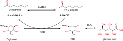 Reaction system for the enantioselective reduction of aliphatic ketones.