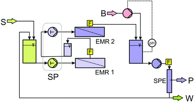 Flow scheme of the cascade of two EMR with integrated down-stream-processing (S: substrate solution; B: base; P: product by reextraction; W: 10% waste; EMR: enzyme membrane reactor; SP: syringe pump equipped with two pairs of syringes running synchronously; F: flow cells for automated sampling for gas chromatography; SPE: solid phase extraction/adsorption).