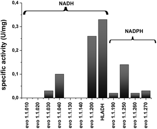 Screening of ADHs for the oxidation of 1,4-BD. Reaction conditions: c(1,4-BD) = 0–4200 mM, c(NAD+) = 0.5 mM/c(NADP+) = 0.4 mM, c(ADH) = 0.12–0.36 g L−1, buffer: Tris-HCl (50 mM, pH 7.0), T = 30 °C.