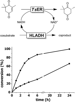 
          TsER-catalysed reduction of ketoisophorone to (R)-levodione using 1,4-BD (●) or EtOH (■) as a cosubstrate. Reaction conditions: c(ketoisophorone) = 10 mM, c(cosubstrate) = 5 mM, c(NAD+) = 1 mM, c(TsER) = 0.25 g L−1, c(HLADH) = 1.0 g L−1, buffer: MOPS (50 mM, pH 7.0, 5 mM CaCl2, 1% v/v MeCN), T = 30 °C.