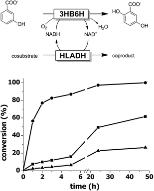 Hydroxylation of 3-hydroxybenzoate to 2,5-dihydroxybenzoate using iPrOH (▲), EtOH (■) or 1,4-BD (●). Reaction conditions: c(3-hydroxybenzoate) = 5 mM, c(cosubstrate) = 2.5 mM, c(NAD+) = 1 mM, c(3HB6H) = 0.25 g L−1, c(HLADH) = 1 g L−1, buffer: Tris-SO4 (20 mM, pH 8.0), T = 30 °C.