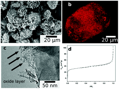 Scanning electron micrograph (a), 3D confocal microscopy reconstruction of the particle loaded with rhodamine B (picture taken in fluorescent mode) showing the porosity throughout the catalyst particle (b), transmission electron micrograph (c), and nitrogen adsorption isotherm (d) of the Cu/Al catalyst, showing the morphology and porous structure.