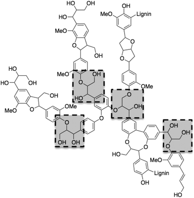 A typical lignin fragment (lignin is a random biopolymer) showing four β-O-4 linkages highlighted by dashed rectangles.