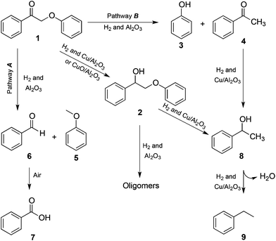 Reaction pathways for the β-O-4 cleavage of dimer 1.
