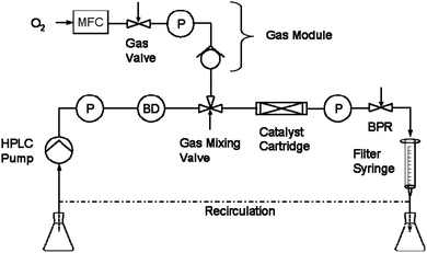 Process schematic of the reactor (H-Cube Pro with Gas Module, Thales Nanotechnology Inc., Hungary).24 P = pressure sensor, BD = bubble detector, MFC = mass flow controller, BPR = back-pressure regulator.