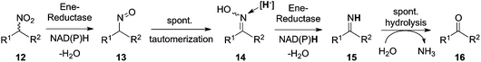 Bio-Nef reaction mediated by ene-reductases on sec-nitro-aliphatics.