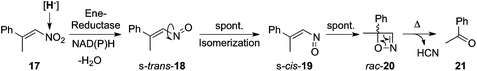 Oxazete formation mediated by ene-reductases on β,β-disubstituted nitroalkene (17).