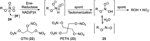 Reductive nitrate ester cleavage catalyzed by ene-reductases; GTN: glycerol trinitrate, PETN: pentaerythritol tetranitrate.