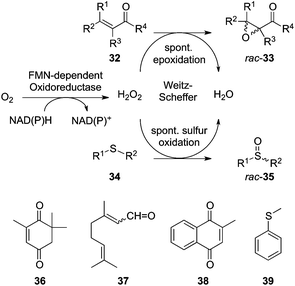 Weitz–Scheffer epoxidation of enones and oxidation of thioethers mediated by NAD(P)H:FMN-dependent oxidoreductases in the presence of O2.