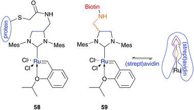 Artificial metalloenzymes covalently 58 and non-covalently bound 59.66,67