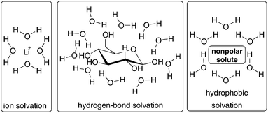 Different solvation modes in water.73